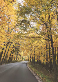 Road amidst trees during autumn