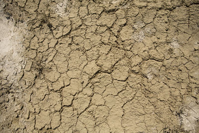 Full frame shot of cracked land