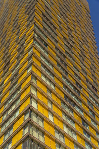 Low angle view of roof tiles