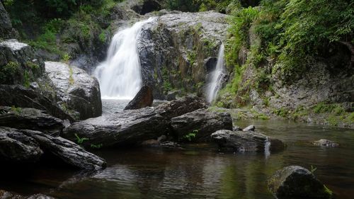 View of waterfall in forest