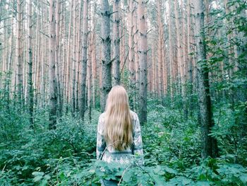 Rear view of woman in forest