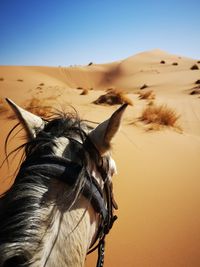 View of a desert