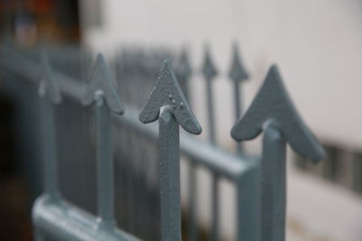 Close-up of metal fence against blurred background