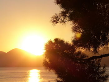 Silhouette trees by sea against sky during sunset