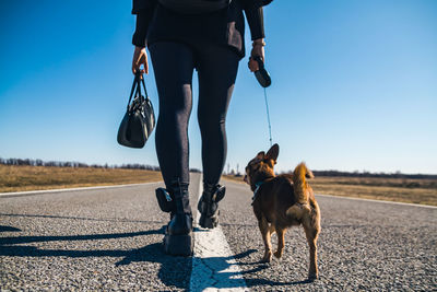 Low section of person with dog on road