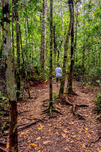 Rear view of man standing in forest