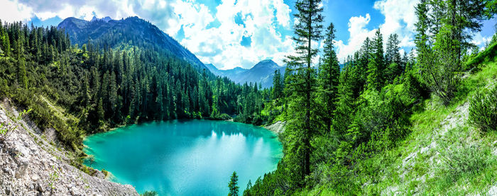 Panoramic view of pine trees by lake against sky