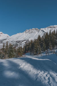 snow