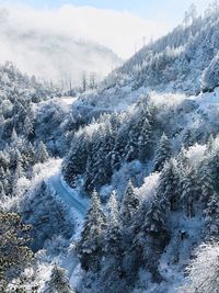 Scenic view of snow covered landscape against sky