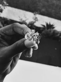 Close-up of hand holding small flower