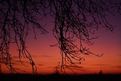 Low angle view of silhouette bare tree against romantic sky