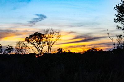 Silhouette trees on landscape against sky during sunset