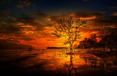 Silhouette tree by sea against romantic sky at sunset