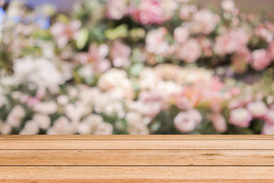 Close-up of pink flower on table