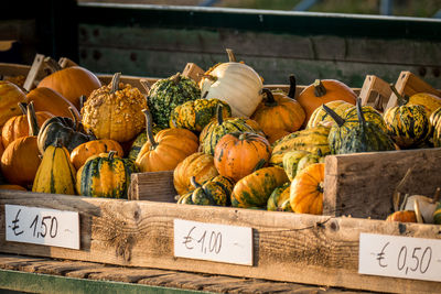 Pumpkins for sale at market stall