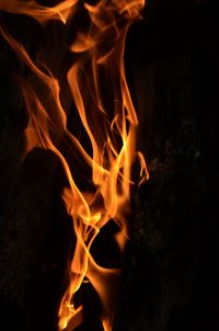 Close-up of fire at night