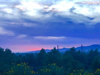 Scenic view of silhouette trees against sky at sunset