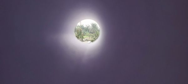 Low angle view of trees against sky