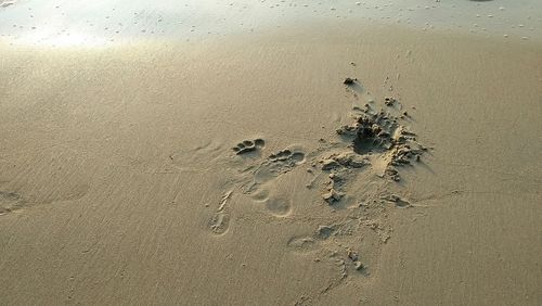 High angle view of wet sand on beach