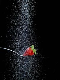 Close-up of berries on water against black background