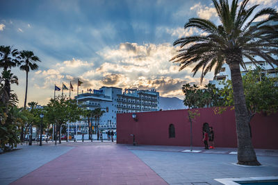 Palm trees and plants in city against sky during sunset