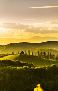 Scenic view of field against sky during sunset