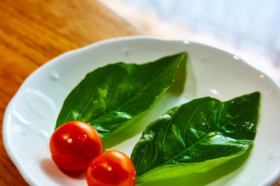 Close-up of salad in plate on table