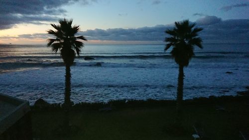 Silhouette palm trees on beach against sky during sunset