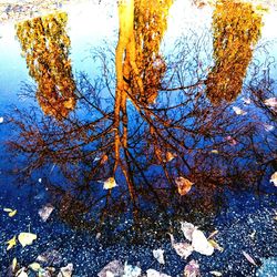 Low angle view of autumn tree against sky