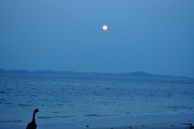 Scenic view of sea against sky at night