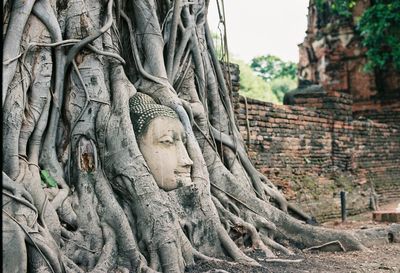 View of buddha statue