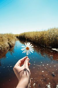 Cropped hand holding flower against lake