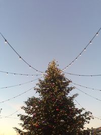 Low angle view of christmas tree against sky