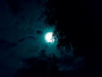 Low angle view of silhouette trees against sky at night