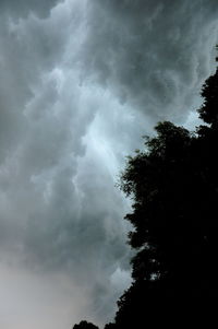 Low angle view of tree against cloudy sky