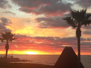 Silhouette palm trees on beach against sky during sunset