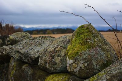 Moss on rocks against cloudy sky