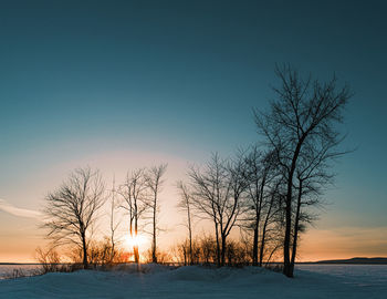 Bare trees on snow field against sky during sunset