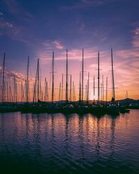 Sailboats in marina at sunset