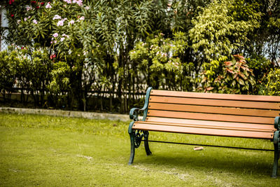 Bench in park