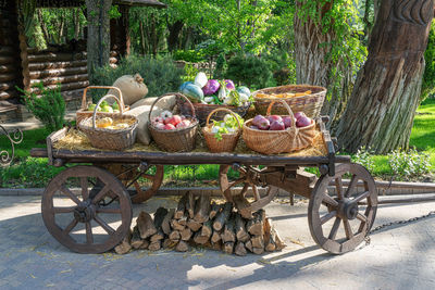 basket