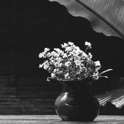 Close-up of flower pot on table