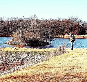 View of calm sea against clear blue sky
