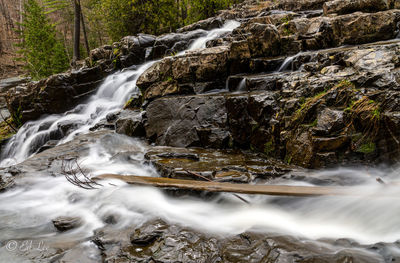 Scenic view of waterfall in forest