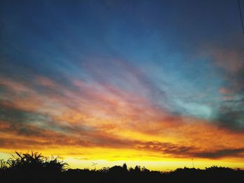 Low angle view of silhouette trees against orange sky