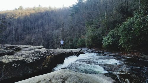 Man standing at riverbank against trees in forest