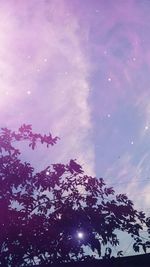 Low angle view of tree against sky at night