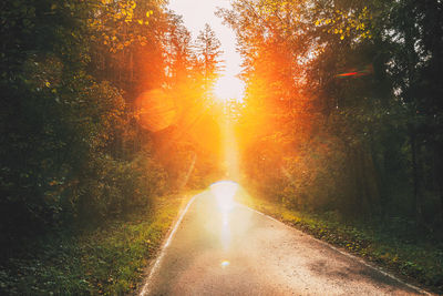 Road amidst trees against bright sun
