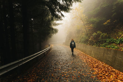 Rear view of woman walking on road, on a foggy autumn day