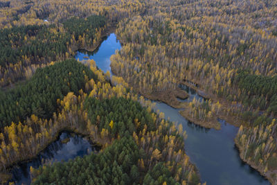 High angle view of lake amidst trees